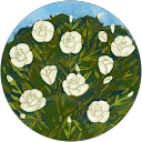 Rosa Chet profile picture